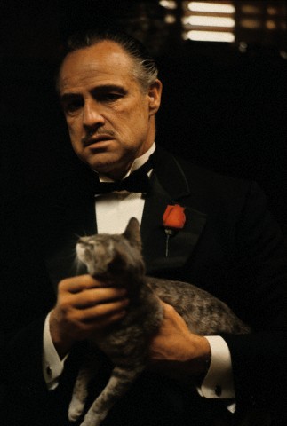 godfather