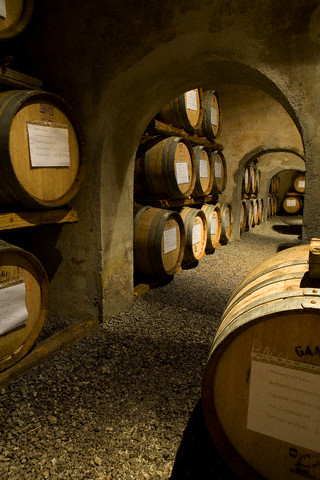 wine cellar